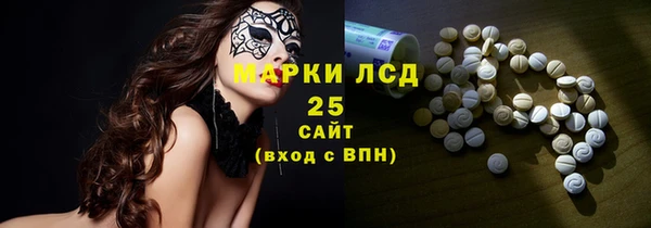 ECSTASY Алзамай