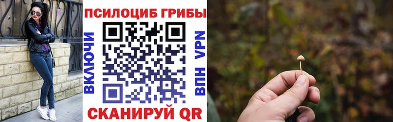 Галлюциногенные грибы Psilocybine cubensis Спасск