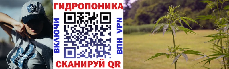 мега tor  Спасск  Марихуана Amnesia 